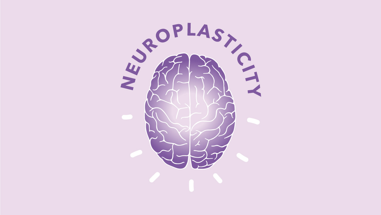 Neuroplasticity